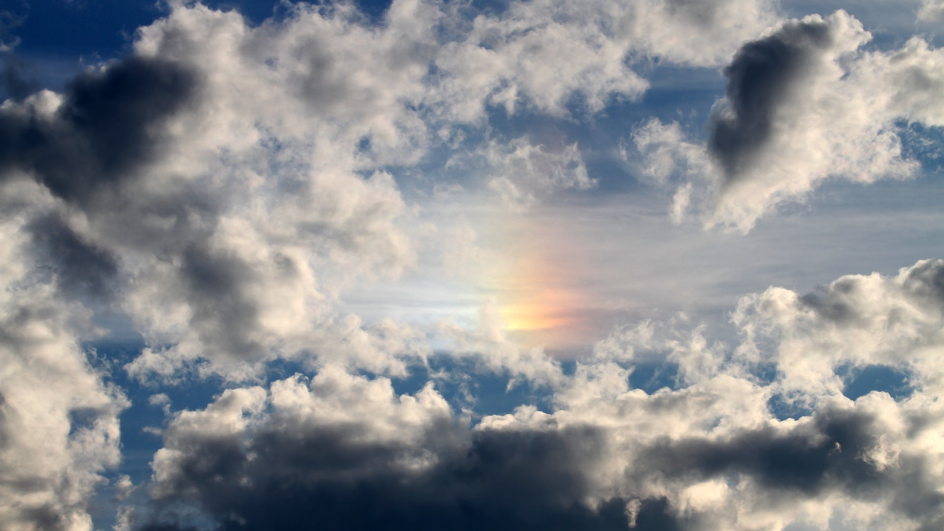 CBA球员退役后转型路径逐渐清晰，cba球员退役后有退休金吗