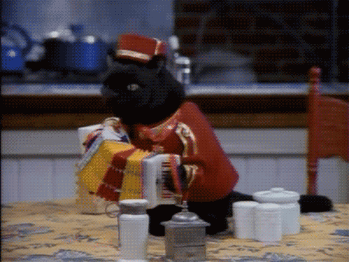 “东部新区定向越野：运动员在迷雾中寻觅胜利”