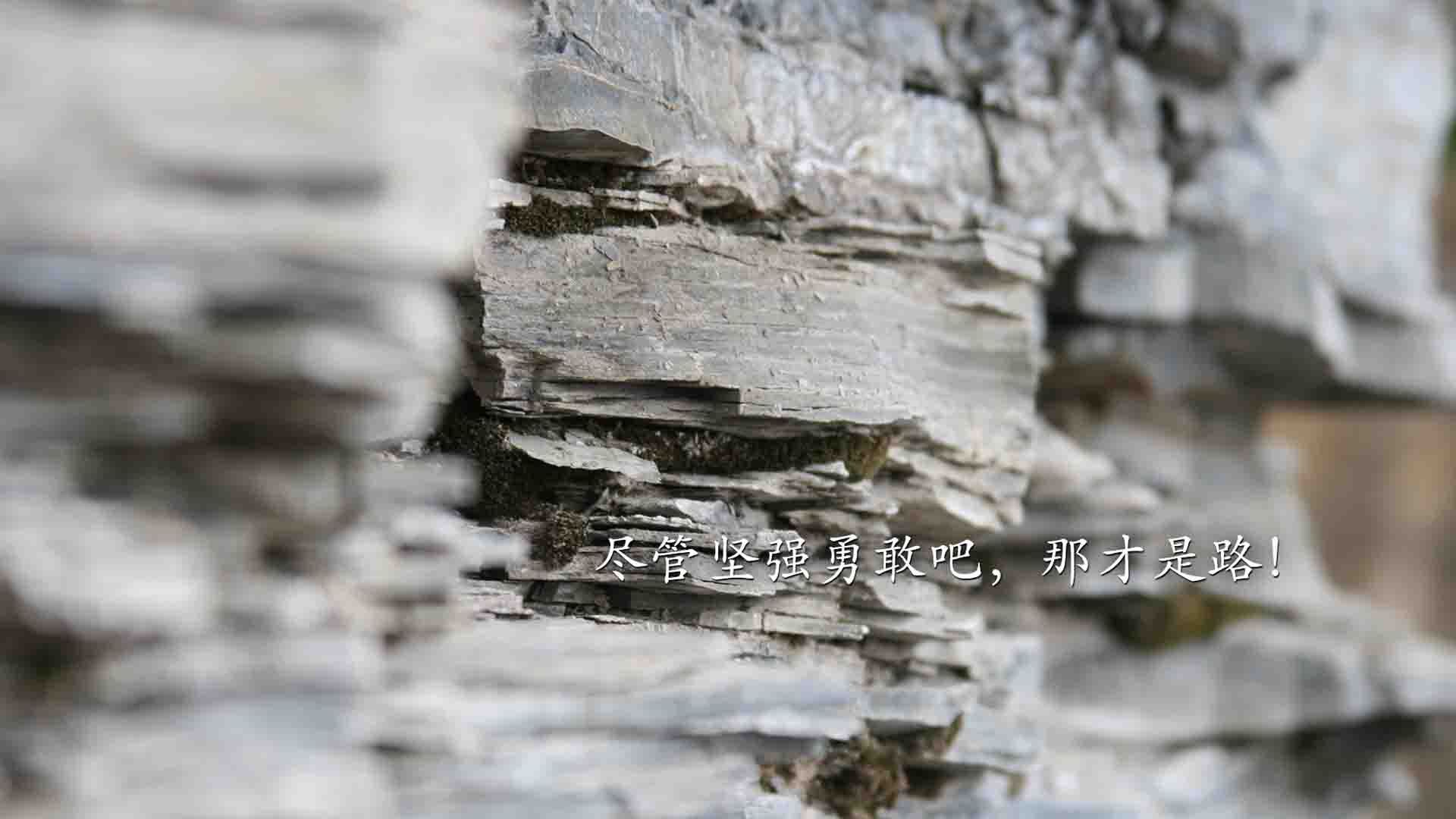 “拳击狂潮席卷四川,谁能脱颖而出?”