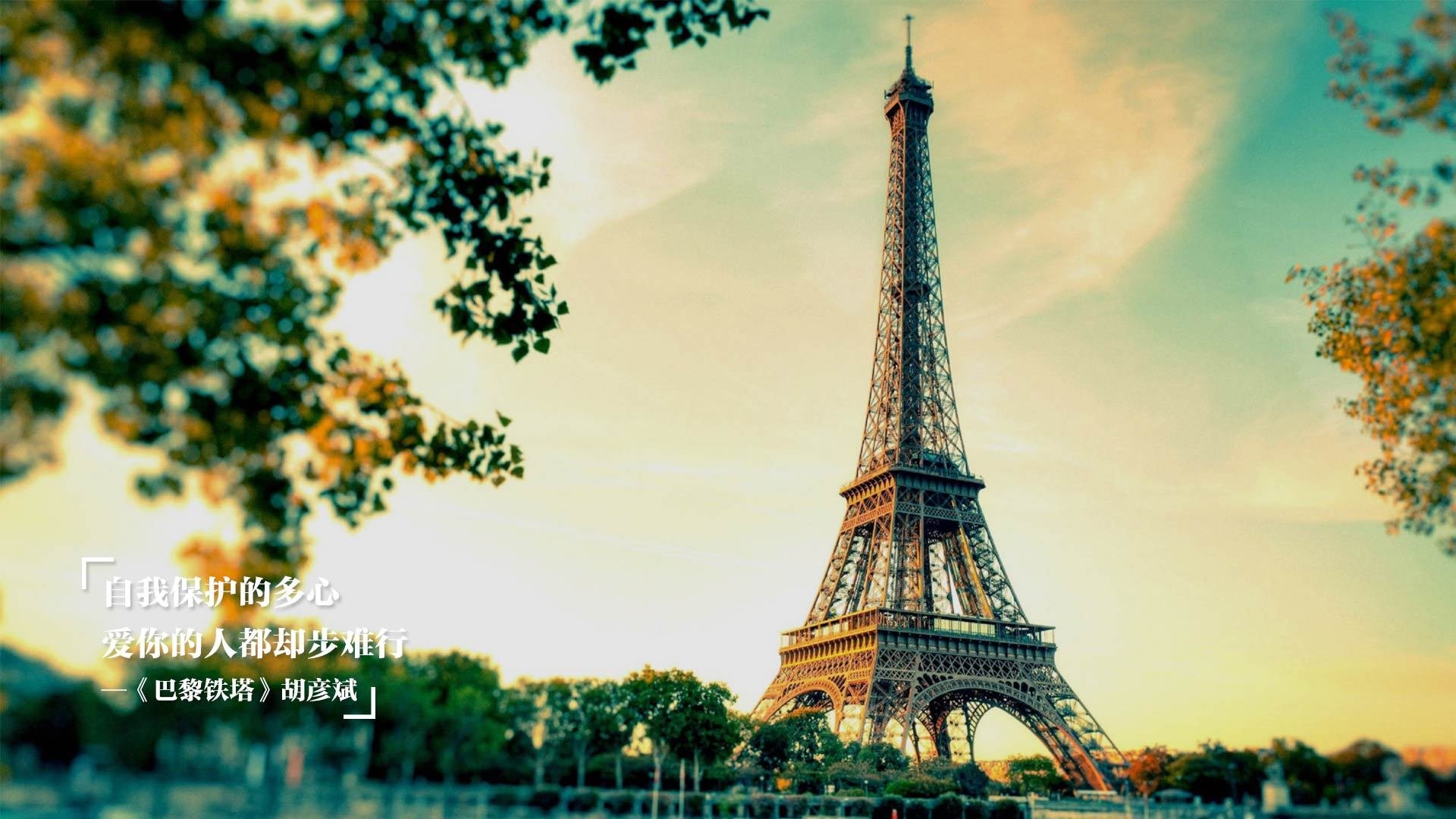 “跑者聚集！SHO-CHAN Run 2025香港赛道的极速对决”