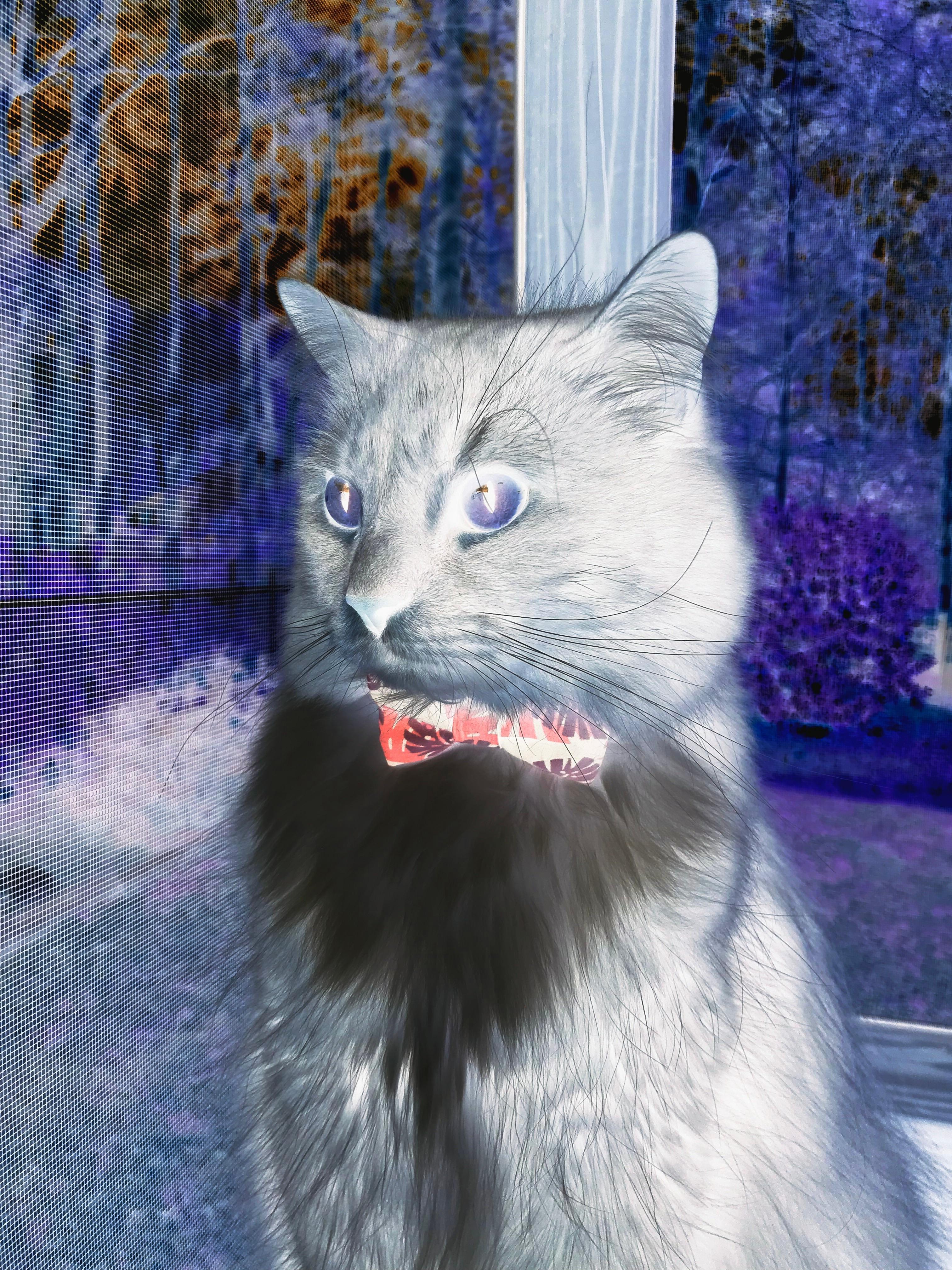 中国足球发展战略缺乏前瞻布局,中国足球发展现状与对策