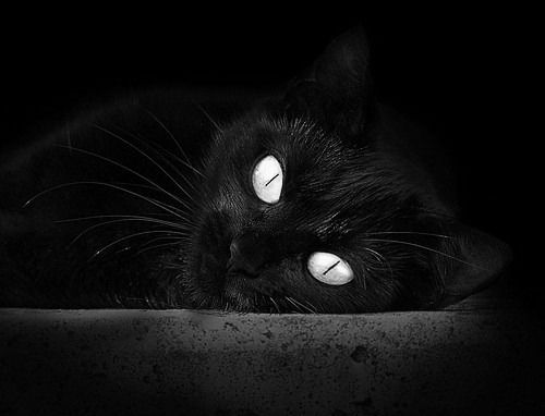 塞维利亚反击犀利提升得分效率,塞维利亚的