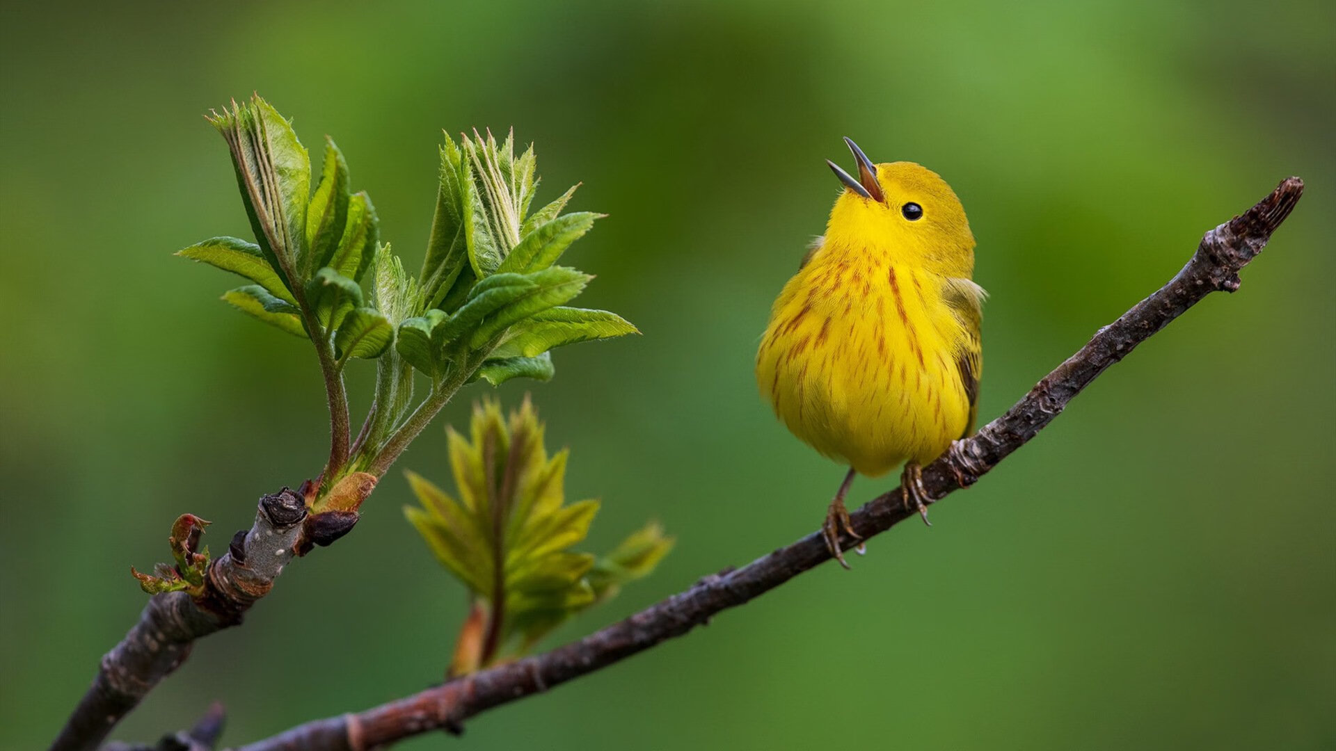 奥预赛中国女足逆袭 球员状态明显提升,中国女足奥运预选赛结果