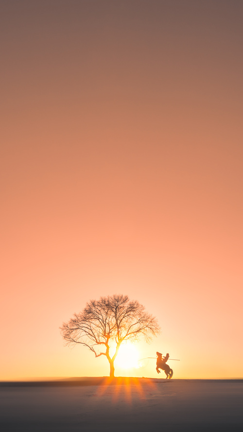 波兰队赛制分析：团体赛制中的人员安排与战术布置，波兰队的比赛