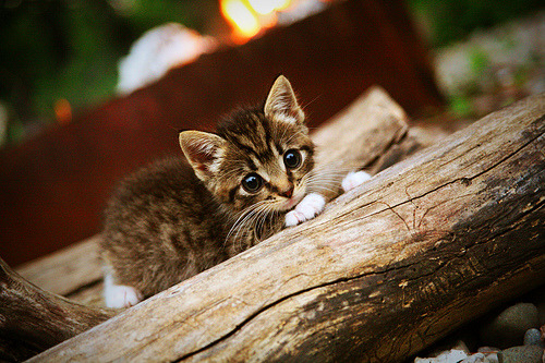 联盟中最擅长处理包夹的球星解析,破包夹最好的球员