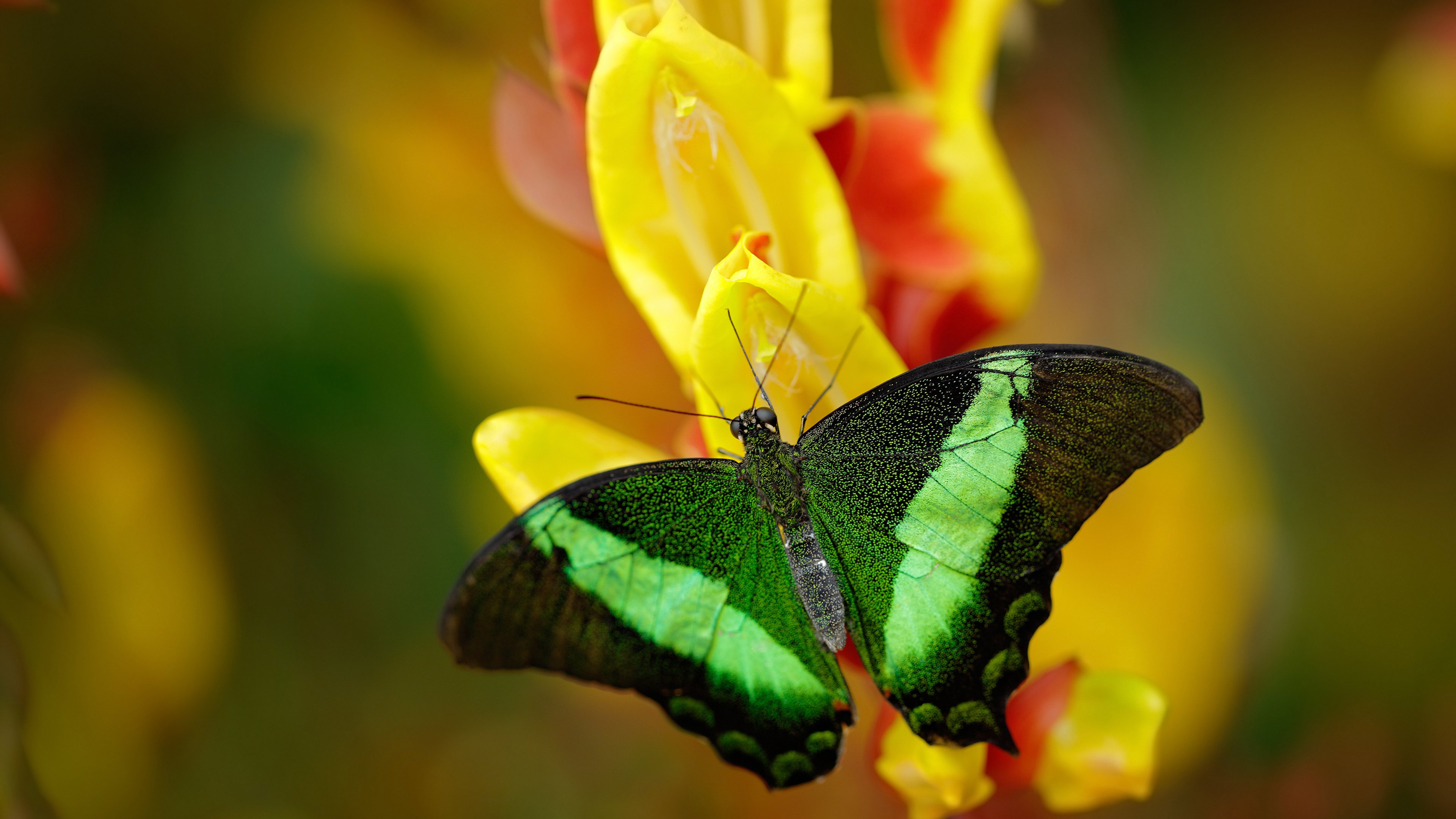 赛季中教练战术变革后场均进球变化趋势，教练技术犯规几次下场