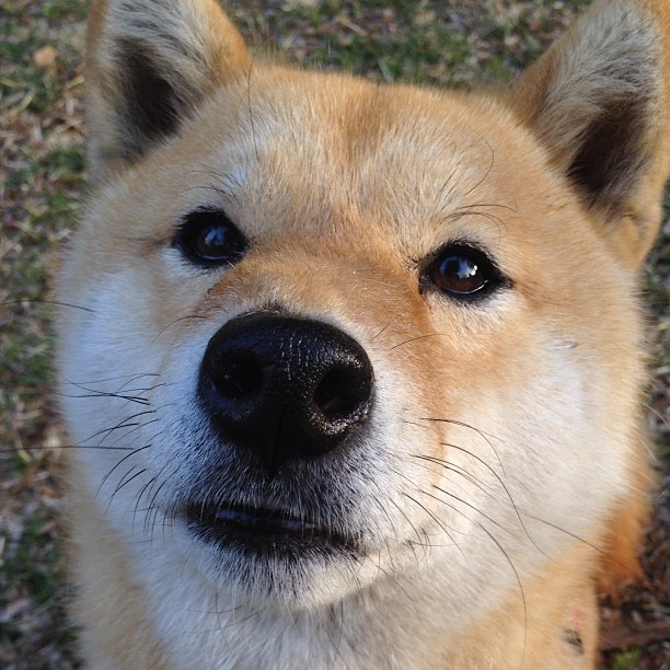 体育新闻中心数据分析趋势，国内体育新闻报道