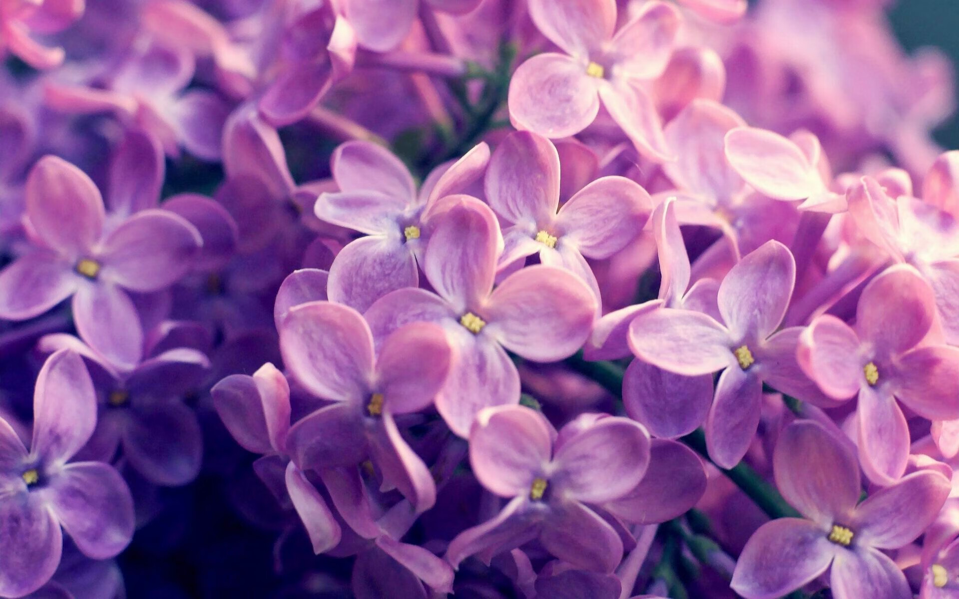 国内篮球摄影师作品展开展记录赛场感动与成长瞬间,篮球摄影图片