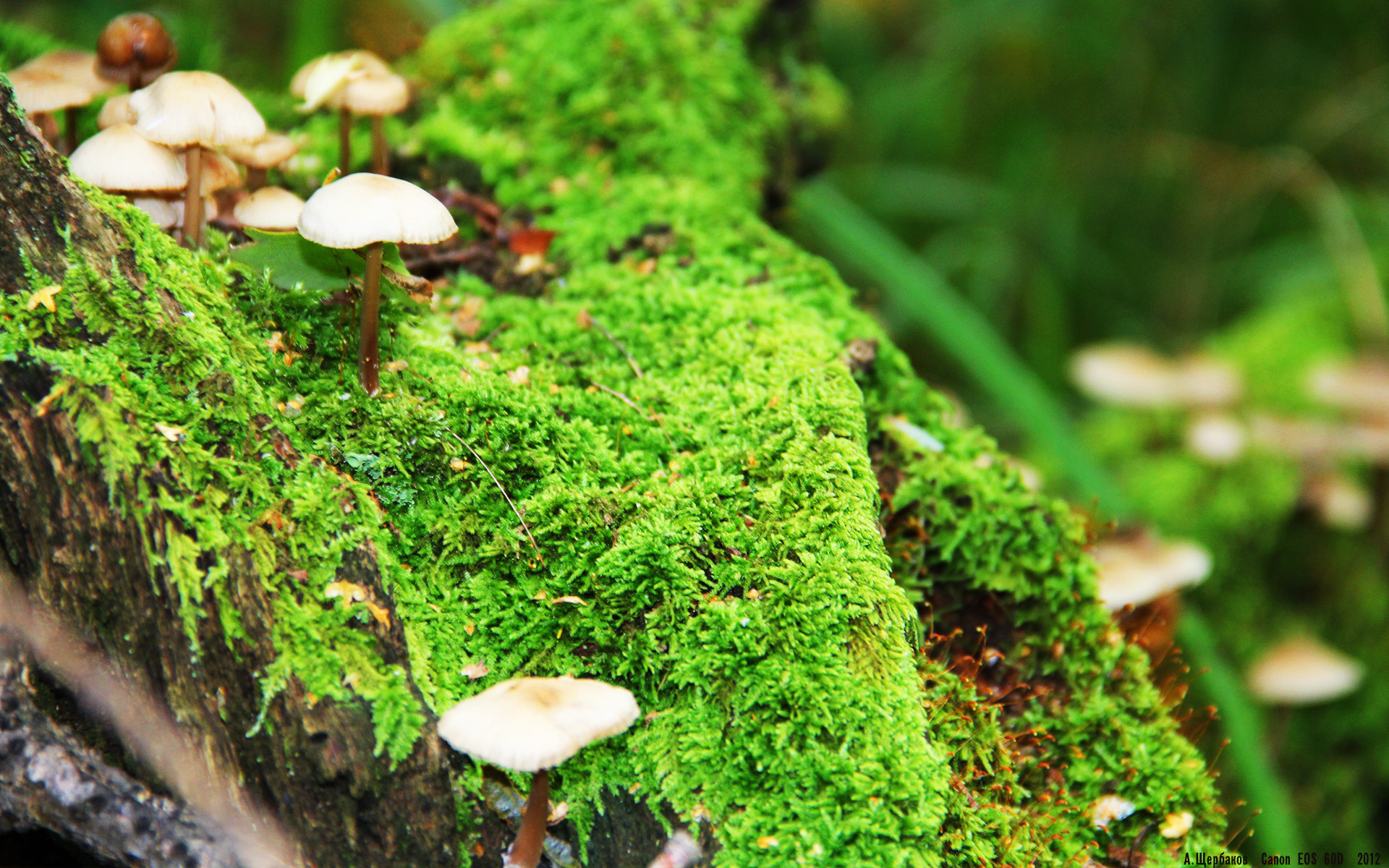 女子篮球青年队强化投篮训练提高得分能力,女士投篮技术要点