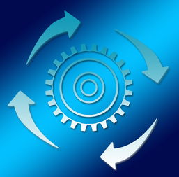 澳大利亚启动青训基地,培养未来之星,澳大利亚十大杰出青年