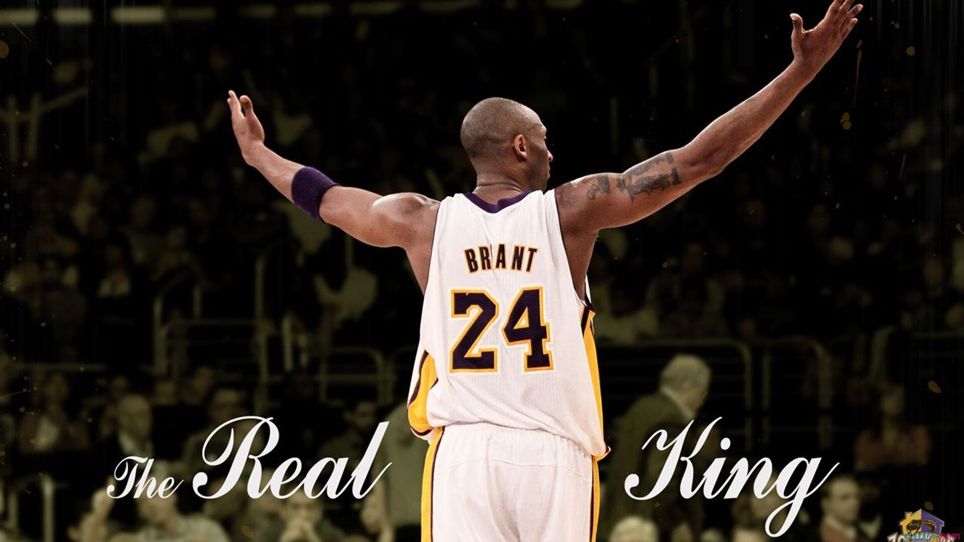 世界杯：教练黄牌红牌单独统计 多名主帅因出界被警告